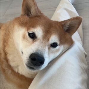 Meet your Posher, Trinity